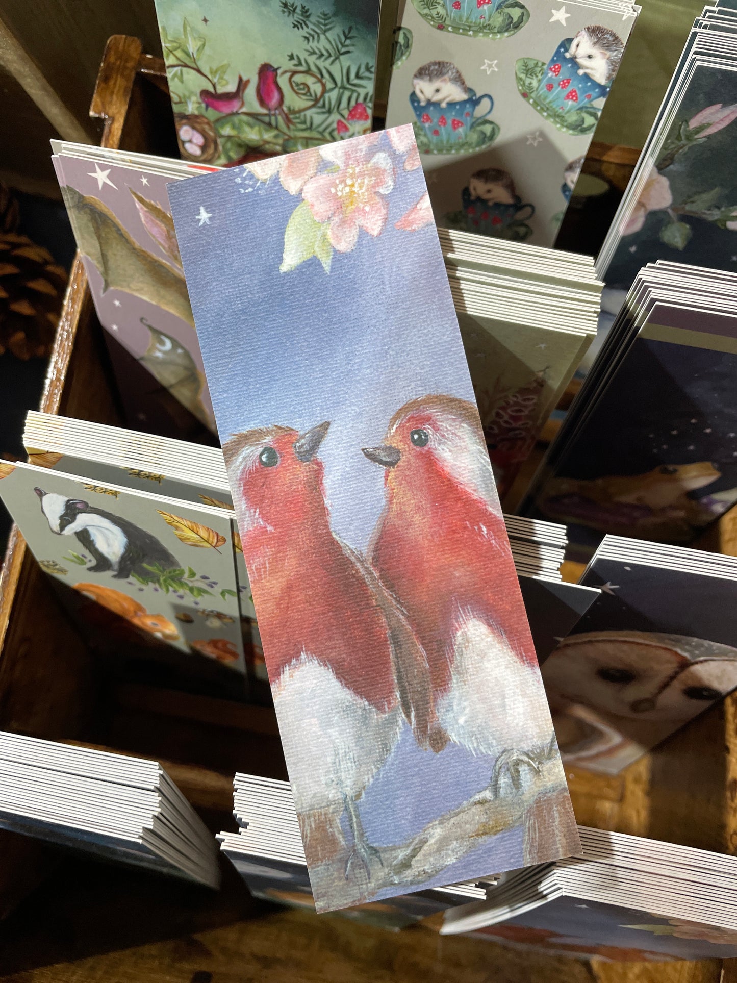 Robins Bookmark | Story teller