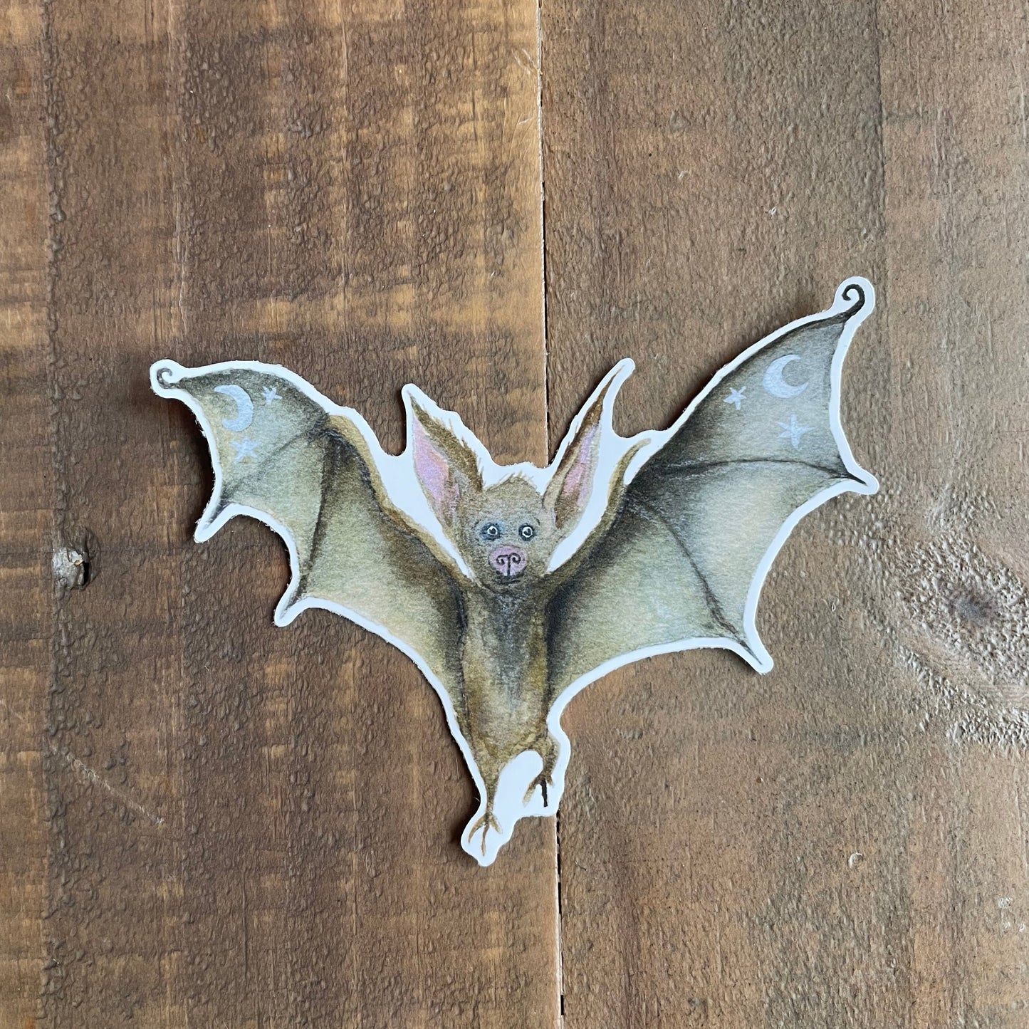 Bat Matte Vinyl Sticker