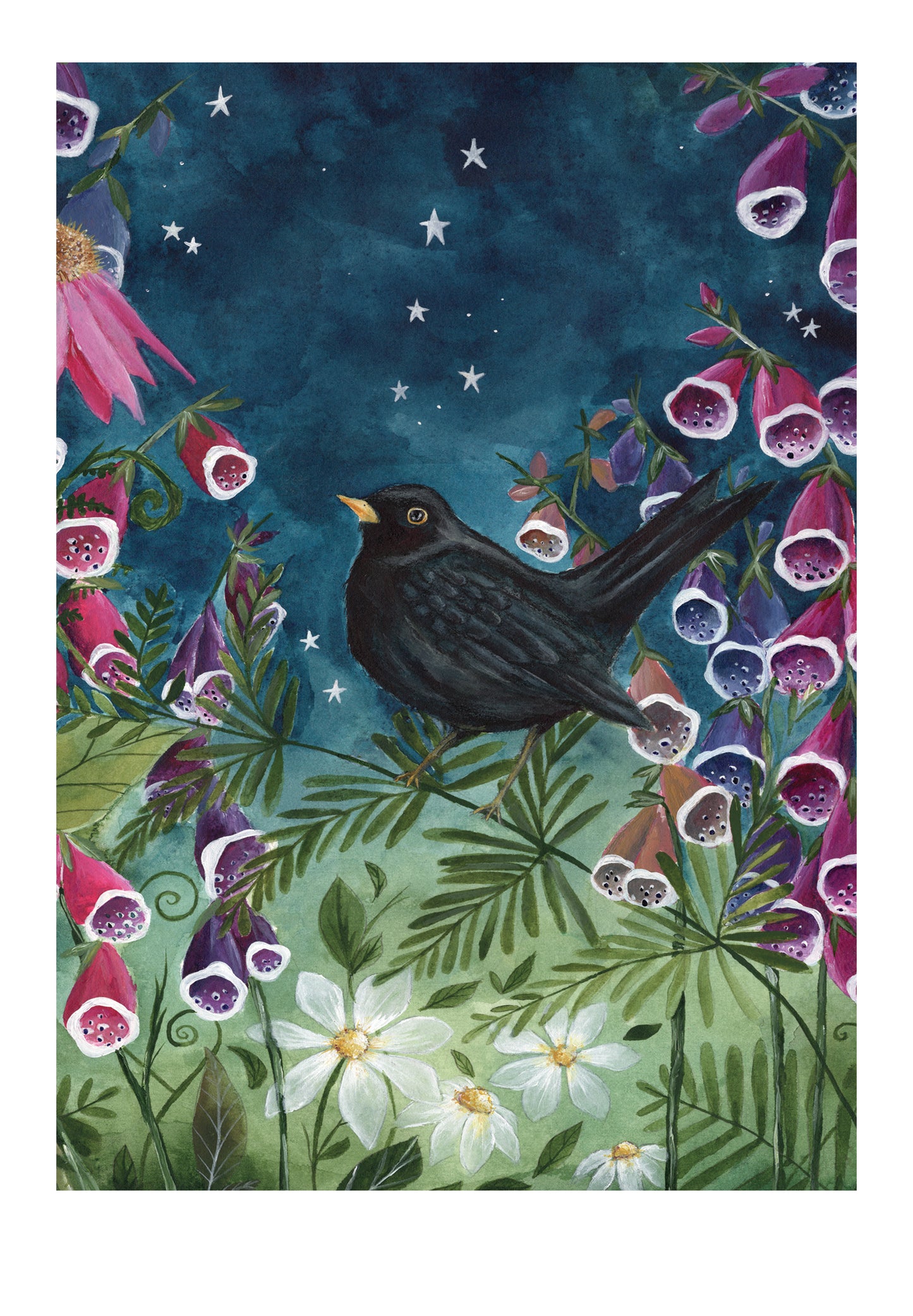 Blackbird Fine Art Print | Starry Skies