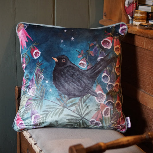 Starry Skies | Blackbird Velvet Cushion