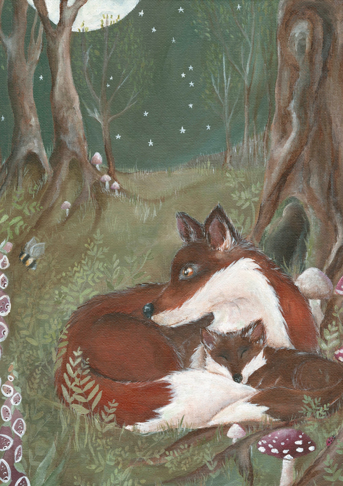 Home | Foxes | Framed Original Canvas
