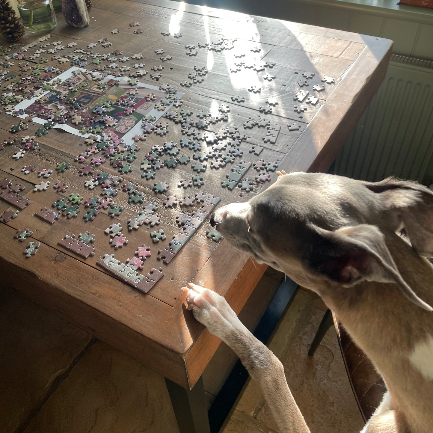 Whippet Cottage   1000 Piece Jigsaw Puzzle