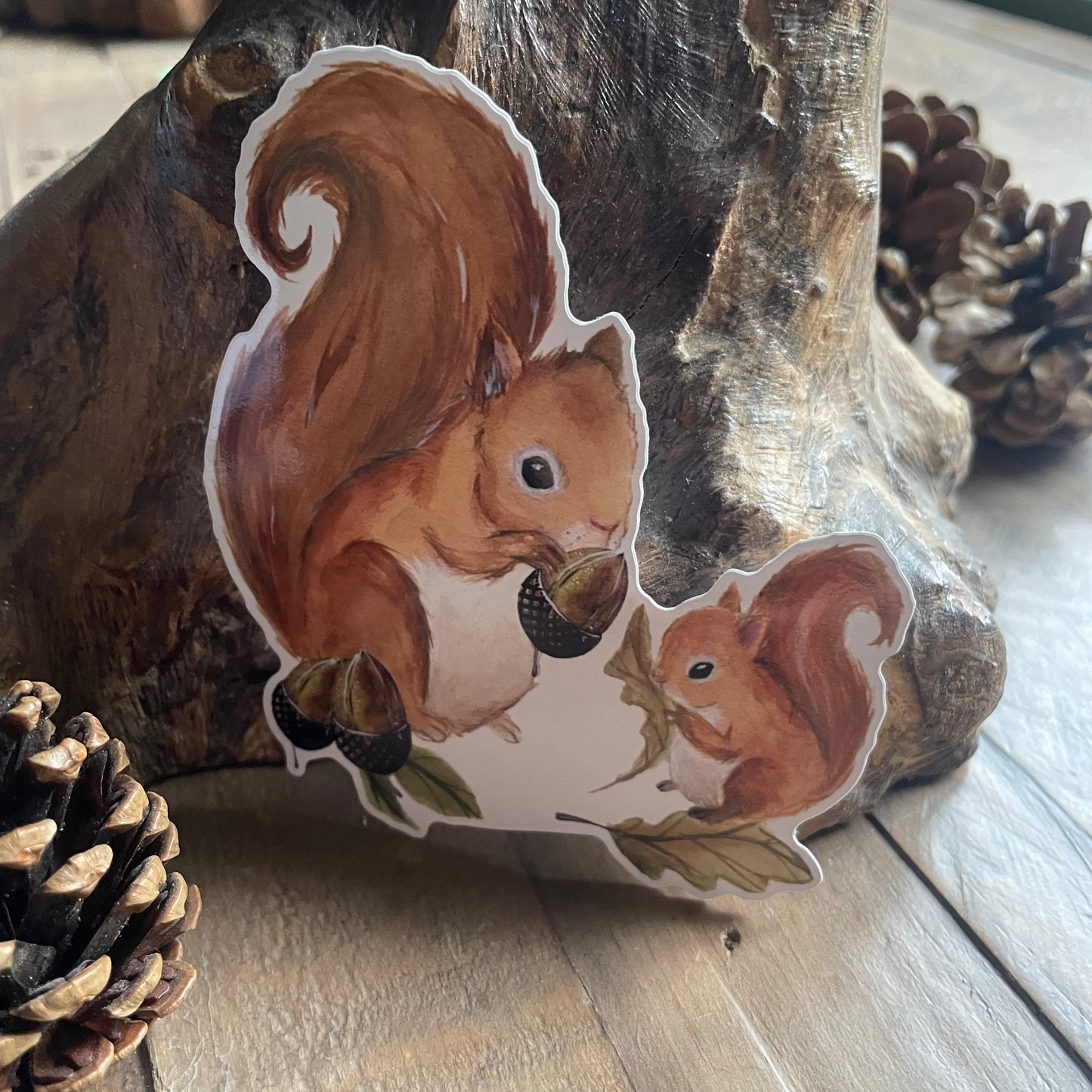 Squirrel Vinyl Sticker
