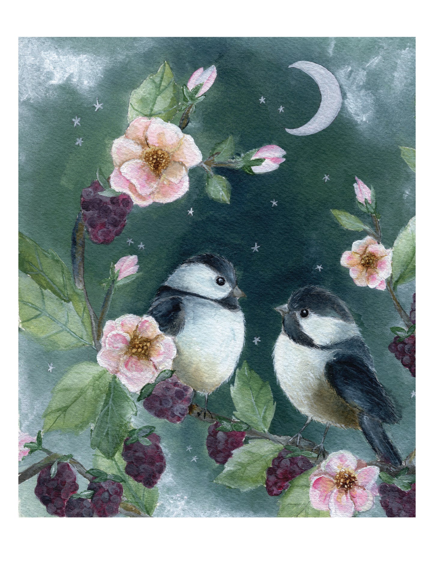 Coal Tit Fine Art Print | Friendship